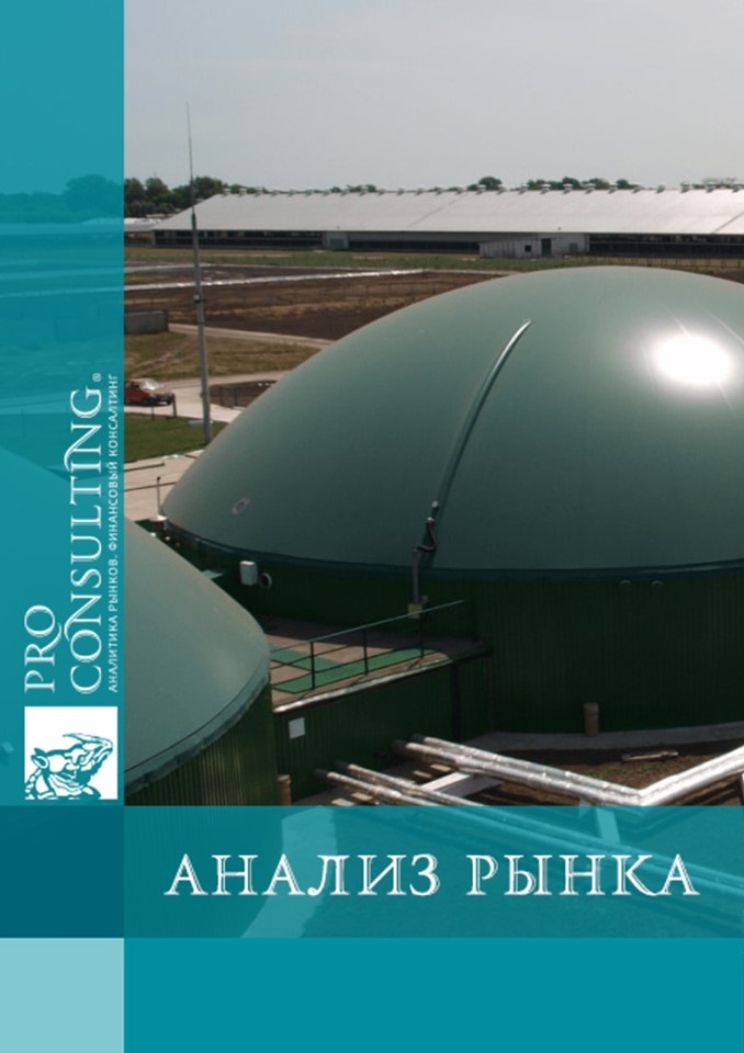 Анализ рынка биогаза и сырья для его изготовления в Винницкой области. 2024 год